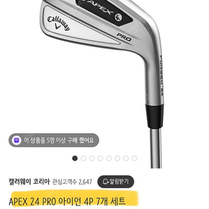 캘러웨이 에이펙스 프로 24 남성 아이언 세트 ( apex pro) 다이나믹골드 아펙스프로