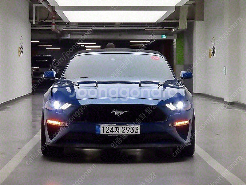 9,298 km 포드 머스탱 중고 포드 중고차 GT 컨...--6