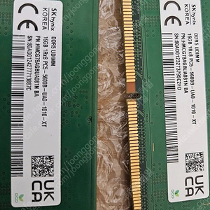 하이닉스 DDR5 5600 16G x 2 A다이 언락 ​