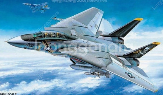 TAMIYA F14A 1/32--0