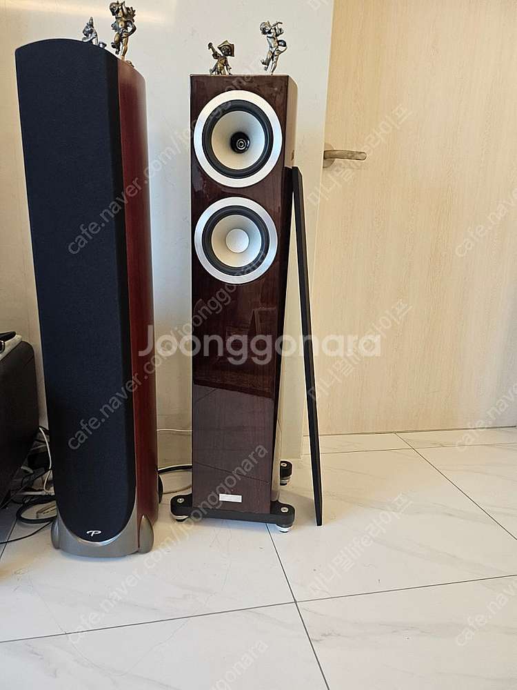 탄노이 precision6.2 스피커--0