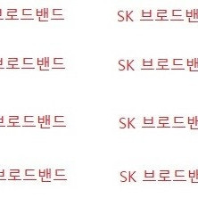 SKB(SK브로드밴드) 인터넷 명의변경/양도합니다[23개월, 7만원지원(이전설치 포함)]