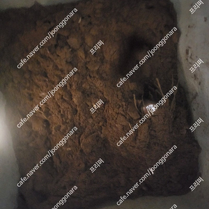 린클 미생물 키로당 7000원팝니다 서울명일 직거래