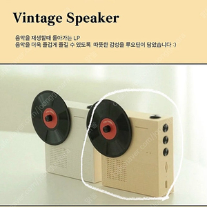 루오딘 LP 블루투스 스피커