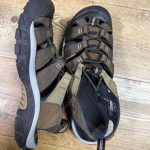 KEEN 뉴포트 시리즈 샌들 팝니다.(290mm)