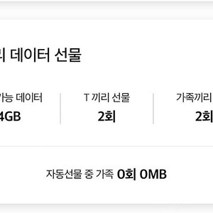 Skt 데이터 2기가