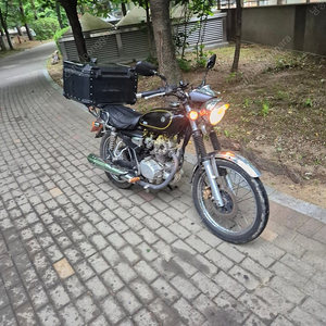 울프 레젼드