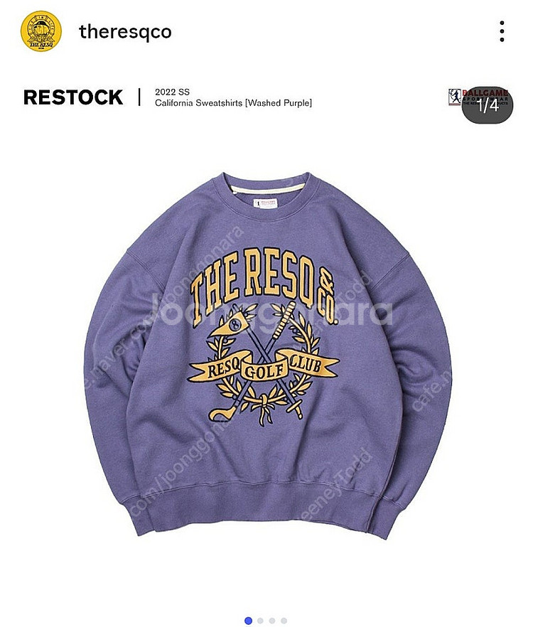 더레스큐 TheResQ XL사이즈 사진의 물건들 삽니다--4