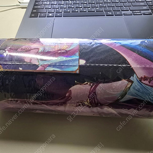 던전앤파이터 던파 베누스 장패드 팝니다