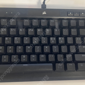 커세어 k70 rgb tkl champion 적축