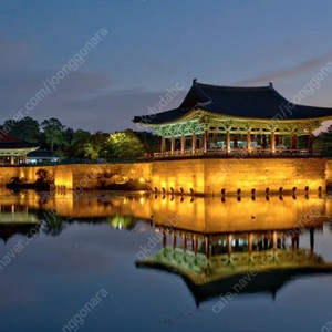 이번주 주말 경주행 ktx