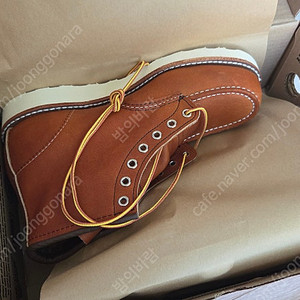레드윙 목토 875 US8 D 260mm 미사용 팝니다