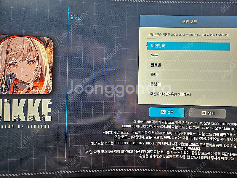 니케 스텔라블레이드 쿠폰 판매--0