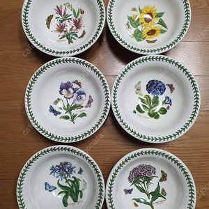 영국 포트메리온 딥파스타볼 개당값₩35000 (공식수입새상품