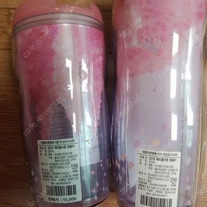 스타벅스 숏 톨 텀블러 세트
