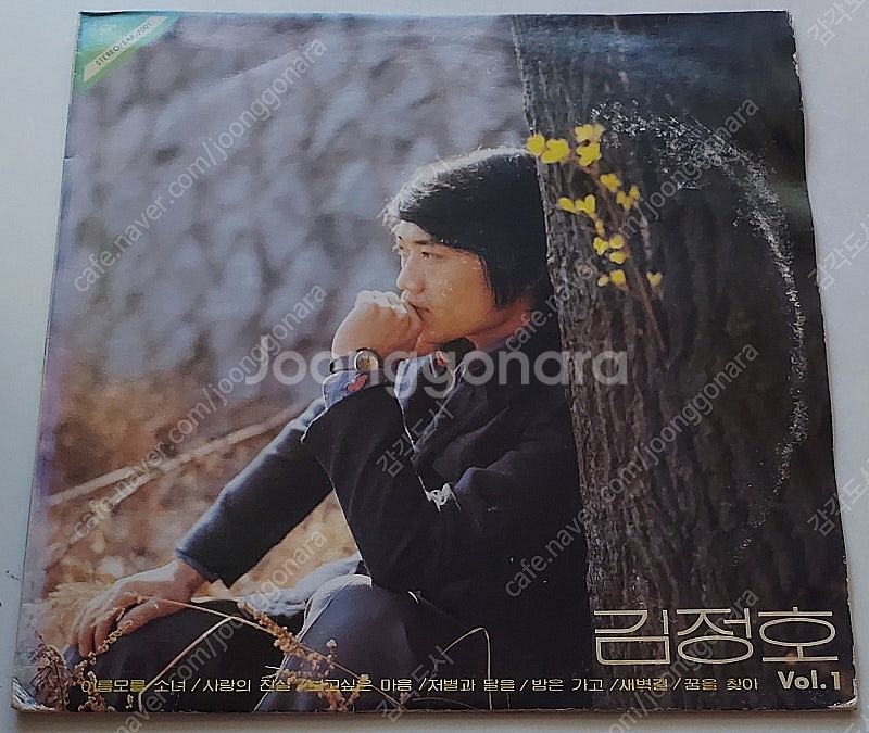 카페]가요,팝송 LP 보디가드, 귀여운반항아, 조용필,...--7