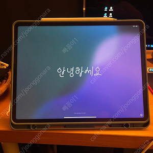 아이패드 프로 12.9 (5세대/m1/256/wi-fi/스페이스 그레이)