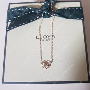 로이드 14K 목걸이
