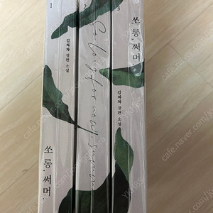로맨스 소설 개인지 쏘롱써머