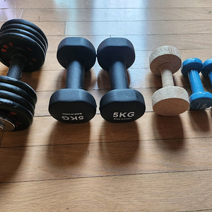 각종 덤벨 일괄 (1,3,4,5,8,9kg)