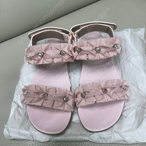 슈콤마보니 (245-250)