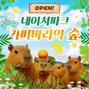 네이처파크 1+1=2인 종일권 판매(바로입장가능)