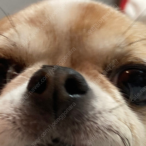 Moza r3, Moza r5 베이스와 휠 삽니다~!