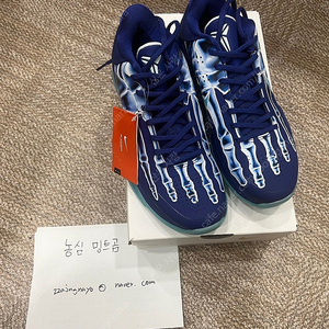 코비5 엑스레이 250