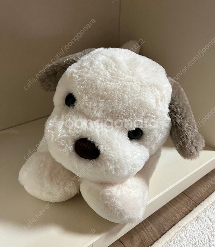 (새상품)이젠돌스 라잉독 뭉뭉이 봉제 인형 30cm--0