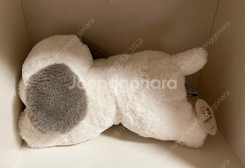 (새상품)이젠돌스 라잉독 뭉뭉이 봉제 인형 30cm--1