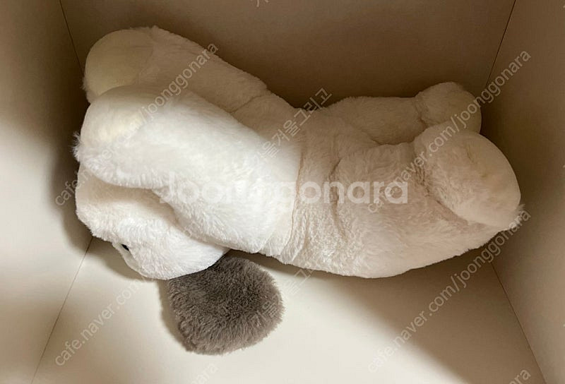 (새상품)이젠돌스 라잉독 뭉뭉이 봉제 인형 30cm--2