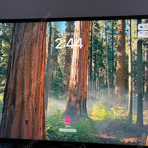 맥미니 M4, 크로스오버 32인치 4K 모니터