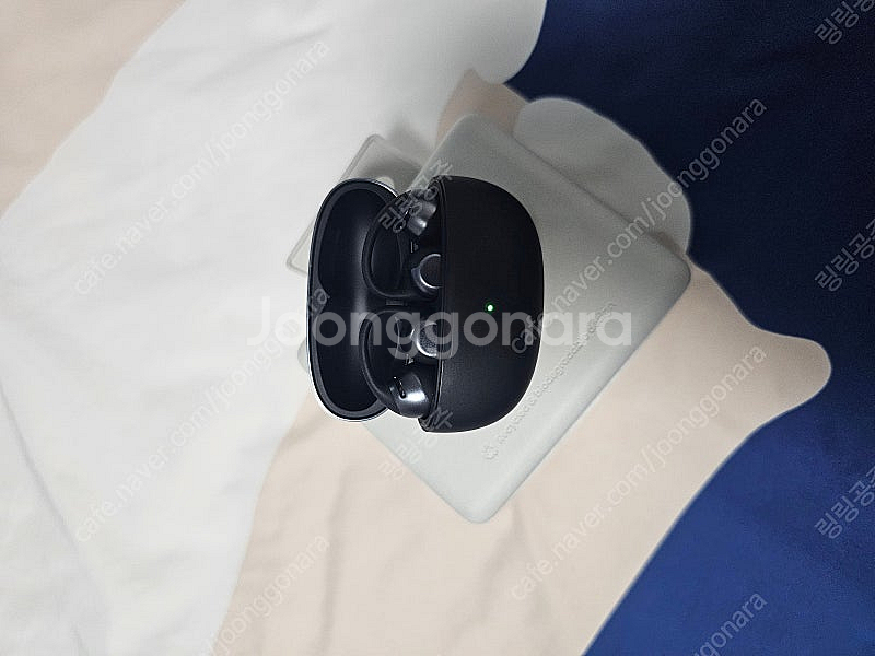 샥즈 오픈닷원--0