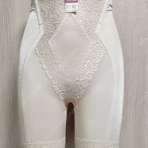 보정 속옷 보정 거들