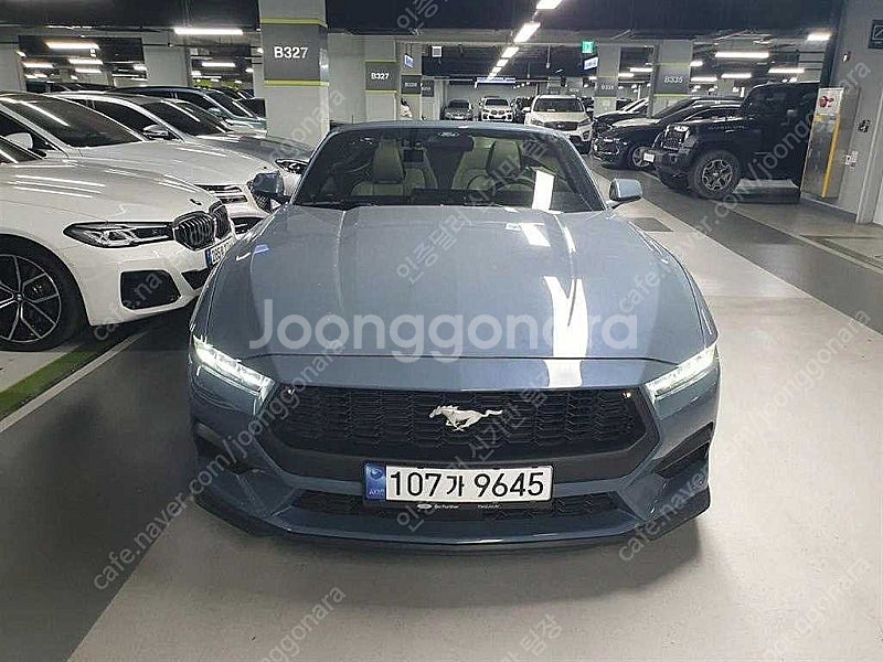2024 포드 머스탱 중고 2.3 에코부스트 프리미엄 ...--0