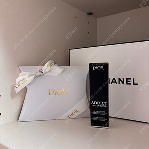 디올 립글로우 버터 105 리치