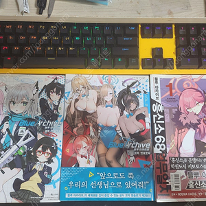 블루아카이브
