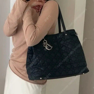 디올 까나쥬 토트백