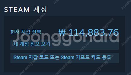 스팀 월렛 75% 장터거래합니다!--0