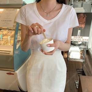 르플레인 브이티