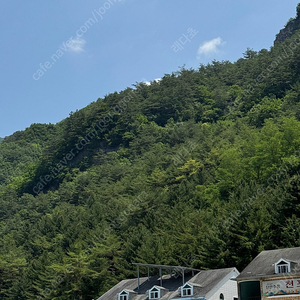 서울국제도서전 토요일 티켓 구합니다(2장)