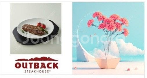 아웃백 달링 포인트 스트립 420g (67,000원->...--0