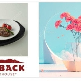아웃백 달링 포인트 스트립 420g (67,000원->43,000원) (오늘까지)