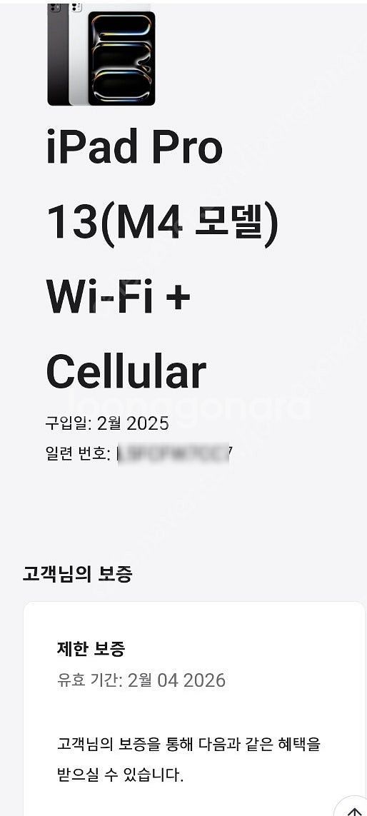 아이패드 프로13 M4 256기가 스페이스블랙 자급제 ...--8
