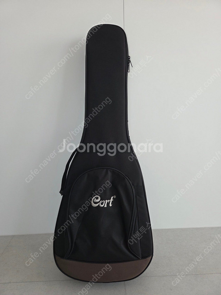 콜트 코어 pe amh 어쿠스틱 기타 판매--1