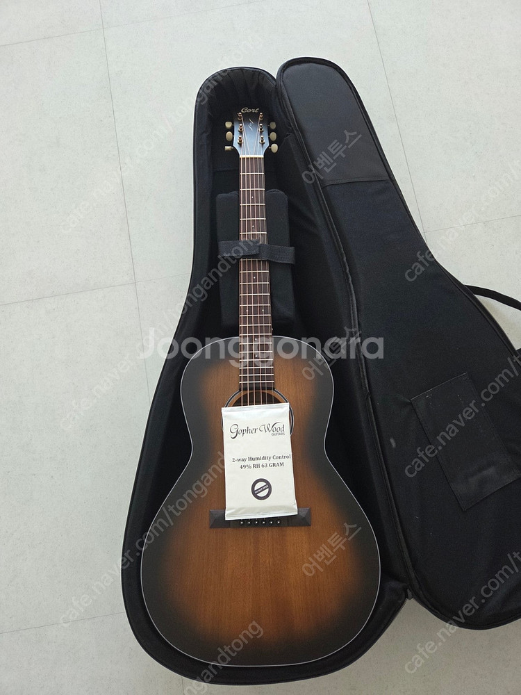 콜트 코어 pe amh 어쿠스틱 기타 판매--2