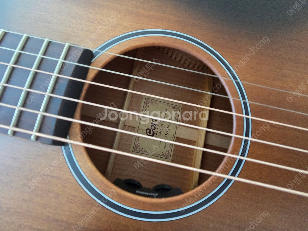 콜트 코어 pe amh 어쿠스틱 기타 판매--5