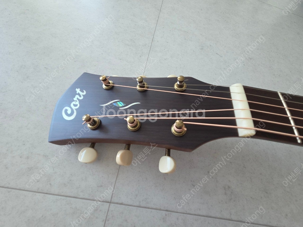 콜트 코어 pe amh 어쿠스틱 기타 판매--6