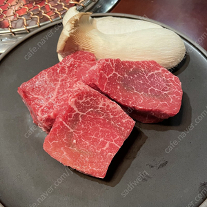 호이트 사토리 삽니다