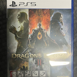Ps5 드래곤즈 도그마 2